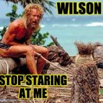 Forest Gump | WILSON; STOP STARING AT ME | image tagged in castawaywilson,tom hanks | made w/ Imgflip meme maker