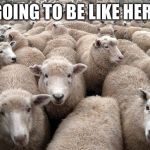 sheeple | IT'S GOING TO BE LIKE HERMINE | image tagged in sheeple | made w/ Imgflip meme maker