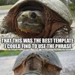 Bad Pun Tortoise | WE SHOULD ALL BE THANKFUL; THAT THIS WAS THE BEST TEMPLATE I COULD FIND TO USE THE PHRASE; TURTLE WHACKS | image tagged in bad pun tortoise,memes,funny,bad puns | made w/ Imgflip meme maker
