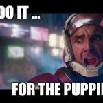 do it for the puppies | DO IT ... FOR THE PUPPIES ! | image tagged in do it for the puppies,destiny,destiny2 | made w/ Imgflip meme maker