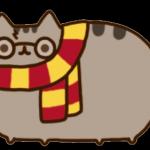 Harry Potter cat meme