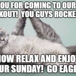 Exercising Cat | THANK YOU FOR COMING TO OUR SUNDAY WORKOUT!  YOU GUYS ROCKED IT!!! NOW RELAX AND ENJOY YOUR SUNDAY!  GO EAGLES! | image tagged in exercising cat | made w/ Imgflip meme maker