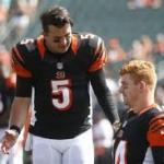 AJ McCarron