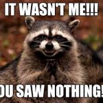 Evil Raccoon Blank | IT WASN'T ME!!! YOU SAW NOTHING!!! | image tagged in evil raccoon blank | made w/ Imgflip meme maker