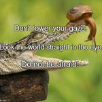 Brave Snail | Don't lower your gaze. Look the world straight in the eye. Do not be afraid. | image tagged in brave snail | made w/ Imgflip meme maker