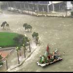 immigrants floating to miami