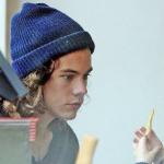 harry styles and the fry