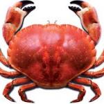 Crab