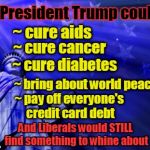 President Trump could cure everything & liberals still whine | President Trump could:; ~ cure aids; ~ cure cancer; ~ cure diabetes; ~ bring about world peace; ~ pay off everyone's credit card debt; And Liberals would STILL find something to whine about | image tagged in liberty background,liberals,whiners,trump | made w/ Imgflip meme maker