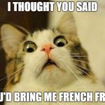 Where are my french fries bietch!? | I THOUGHT YOU SAID; YOU'D BRING ME FRENCH FRIES | image tagged in french fries,triggered cat | made w/ Imgflip meme maker