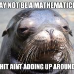 My Whiskers Are Tingling  | I MAY NOT BE A MATHEMATICIAN; BUT SHIT AINT ADDING UP AROUND HERE | image tagged in suspicious sea lion | made w/ Imgflip meme maker