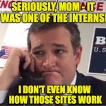 Ted Cruz Phonebanking | SERIOUSLY, MOM - IT WAS ONE OF THE INTERNS! I DON'T EVEN KNOW HOW THOSE SITES WORK | image tagged in ted cruz phonebanking | made w/ Imgflip meme maker