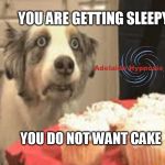 Hypnosis pupper eyes cupcakes | YOU ARE GETTING SLEEPY; YOU DO NOT WANT CAKE | image tagged in hypnosis pupper eyes cupcakes | made w/ Imgflip meme maker