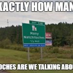 Many Natch | EXACTLY HOW MANY; NATCHITOCHES ARE WE TALKING ABOUT HERE? | image tagged in many natch | made w/ Imgflip meme maker