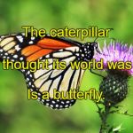 Butterfly tatoo | The caterpillar Is a butterfly. Who thought its world was over | image tagged in butterfly tatoo | made w/ Imgflip meme maker