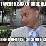 Getting Dumped By The Gump | IF LIFE WERE A BOX OF CHOCOLATES; YOU'D BE A SHITTY COCONUT CREAM | image tagged in forest gump | made w/ Imgflip meme maker