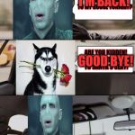 The Voldermort Driving Returns  | I'M BACK! GOOD BYE! HAY THATS A INSULT! | image tagged in voldemort driving,grumpy dog | made w/ Imgflip meme maker