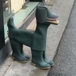Boot dog