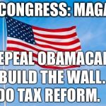 American Flag | CONGRESS: MAGA; REPEAL OBAMACARE. BUILD THE WALL. DO TAX REFORM. | image tagged in american flag | made w/ Imgflip meme maker