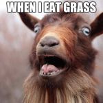 GoatScream2014 | WHEN I EAT GRASS | image tagged in goatscream2014 | made w/ Imgflip meme maker