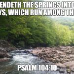 WV Mountain Stream | HE SENDETH THE SPRINGS INTO THE VALLEYS, WHICH RUN AMONG THE HILLS; PSALM 104:10 | image tagged in wv mountain stream | made w/ Imgflip meme maker