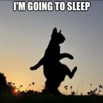 Night cat | I'M GOING TO SLEEP | image tagged in night cat | made w/ Imgflip meme maker