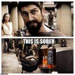 300 | THIS IS SOBER | image tagged in 300 | made w/ Imgflip meme maker
