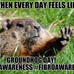 Groundhog | WHEN EVERY DAY FEELS LIKE; GROUNDHOG DAY!          #MEAWARENESS #FIBROAWARENESS | image tagged in groundhog | made w/ Imgflip meme maker