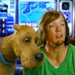 Shaggy 2