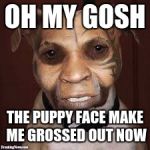 WARNING! puppy face does not work on me anymore (Puppy Week, A Lordcakethief Event! From September 11th -17th!) | OH MY GOSH; THE PUPPY FACE MAKE ME GROSSED OUT NOW | image tagged in ugly dog rock,memes,funny,dank memes,puppy face,puppy week | made w/ Imgflip meme maker