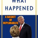 What Happened? | A BASKET OF DEPLORABLES | image tagged in what happened | made w/ Imgflip meme maker