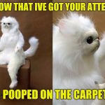 Persian Cat Room Guardian Meme Generator - Imgflip