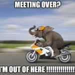 fast elephant | MEETING OVER? I'M OUT OF HERE !!!!!!!!!!!!!!! | image tagged in fast elephant | made w/ Imgflip meme maker
