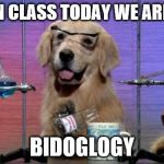 Chemistry Dog | OK THEN CLASS TODAY WE ARE DOING; BIDOGLOGY | image tagged in chemistry dog | made w/ Imgflip meme maker