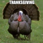thanksgiving | I THINK IM THANKSGIVING; CRAP I AM RUN | image tagged in thanksgiving | made w/ Imgflip meme maker