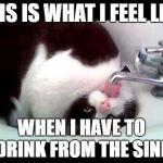the struggle | THIS IS WHAT I FEEL LIKE; WHEN I HAVE TO DRINK FROM THE SINK | image tagged in the struggle | made w/ Imgflip meme maker