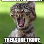 Sale Cat | ERRMAGERD!! TREASURE TROVE IS HAVING A SALE!! | image tagged in sale cat | made w/ Imgflip meme maker