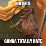Haters Gonna Hate Lizard | HATERS; GONNA TOTALLY HATE | image tagged in haters gonna hate lizard | made w/ Imgflip meme maker