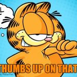 Approving  Garfield | THUMBS UP ON THAT! | image tagged in approving  garfield | made w/ Imgflip meme maker