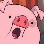 waddles surprised