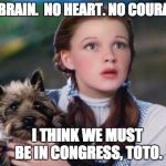 Toto Wizard of Oz | NO BRAIN.  NO HEART. NO COURAGE. I THINK WE MUST BE IN CONGRESS, TOTO. | image tagged in toto wizard of oz | made w/ Imgflip meme maker