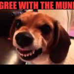 Grumpy Beagle don't like selfies | I AGREE WITH THE MUNKY! | image tagged in grumpy beagle don't like selfies | made w/ Imgflip meme maker