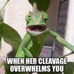 I'm overwhelmed  | WHEN HER CLEAVAGE OVERWHELMS YOU | image tagged in crazy chameleon,overwhelmed | made w/ Imgflip meme maker