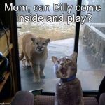 House Cat with Mountain Lion at the door | Mom, can Billy come inside and play? | image tagged in house cat with mountain lion at the door | made w/ Imgflip meme maker