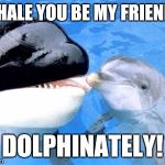 :D :D :D :D | WHALE YOU BE MY FRIEND? DOLPHINATELY! | image tagged in funny,animals,humor,friends,humour,memes | made w/ Imgflip meme maker