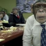 office monkeys