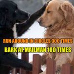 dogs | CATHOLIC DOG SAYS:; RUN AROUND IN CIRCLES 300 TIMES; BARK AT MAILMAN 100 TIMES; AND YOUR SIN FOR POOPING IN THE HALLWAY WILL BE FORGIVEN | image tagged in dogs | made w/ Imgflip meme maker