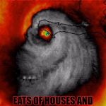 Hurricane Mathew | HURRICANE MATHEW; EATS OF HOUSES AND YOUR HOPES AND DREAMS | image tagged in hurricane mathew | made w/ Imgflip meme maker