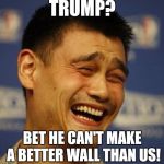 fnny asian man | TRUMP? BET HE CAN'T MAKE A BETTER WALL THAN US! | image tagged in fnny asian man | made w/ Imgflip meme maker
