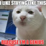 serious cat | I LIKE STAYING LIKE THIS; BEACUSE I'M A GENIUS | image tagged in serious cat | made w/ Imgflip meme maker
